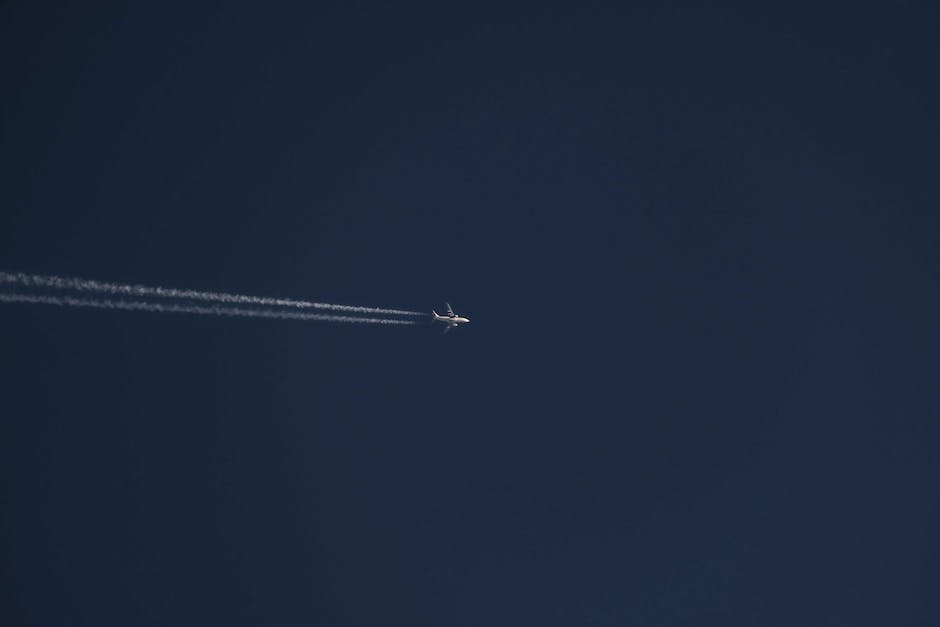 If The Vulture Moves A Horizontal Distance Of 100 M , How Much Height Does It Lose?
