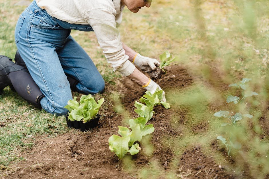 Inauthor:”united States. Bureau Of Plant Industry, Soils, And Agricultural Engineering”
