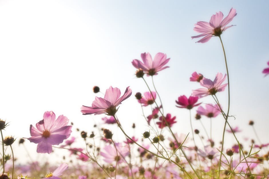 Increasing The Mass Attached To A Spring Will Increase The Period Of Its Vibrations.