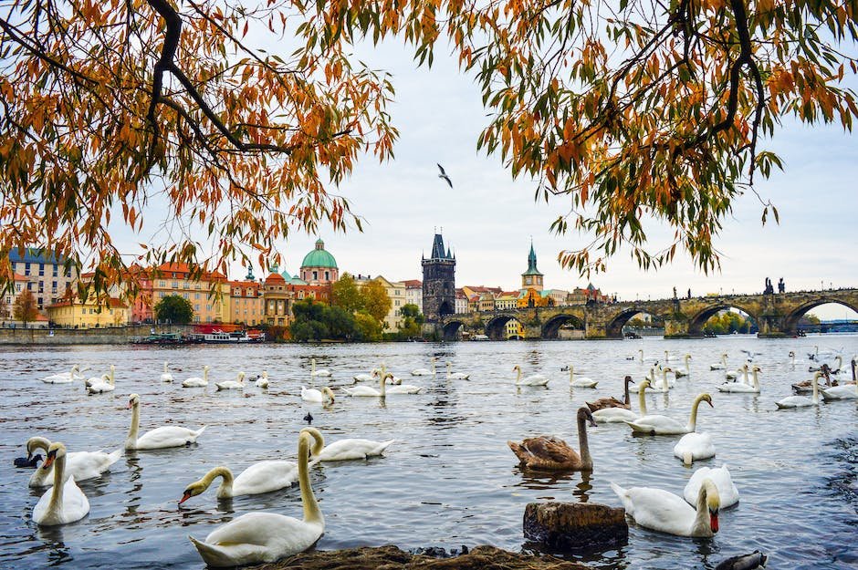 The Czech Republic’s Decision In 2003 To Join The European Union Indicated That The Czech Republic