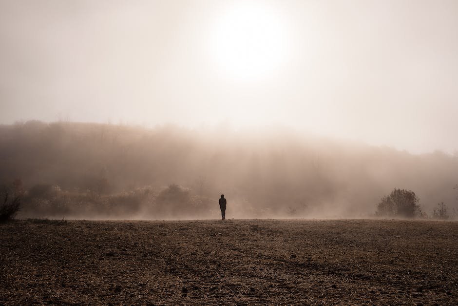 The Deep State: The Fall Of The Constitution And The Rise Of A Shadow Government