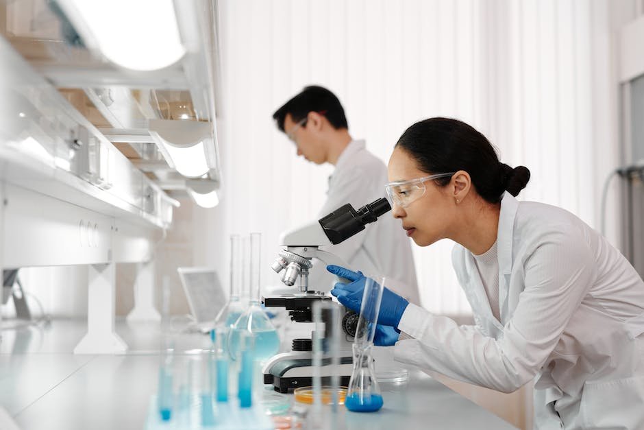 The Discovery Of Mitochondrial Dna (mtdna) Had No Effect On Which Area Of Scientific Investigation?